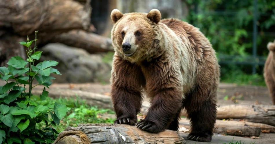 Top Attractions in Sacramento, United States You Shouldn’t Miss