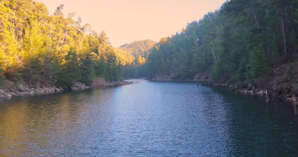 Best Hiking Trails and Nature Spots in Sacramento, United States