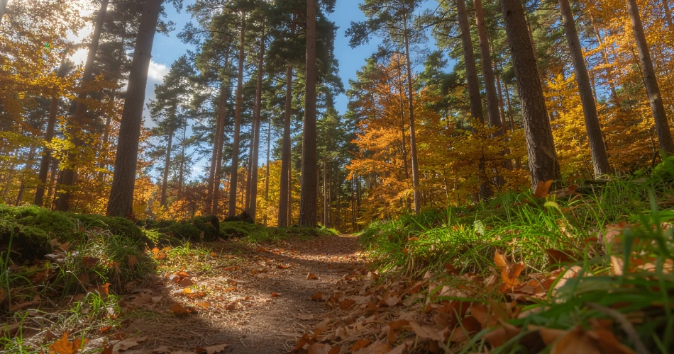 Best Hiking Trails and Nature Spots in Sacramento, United States